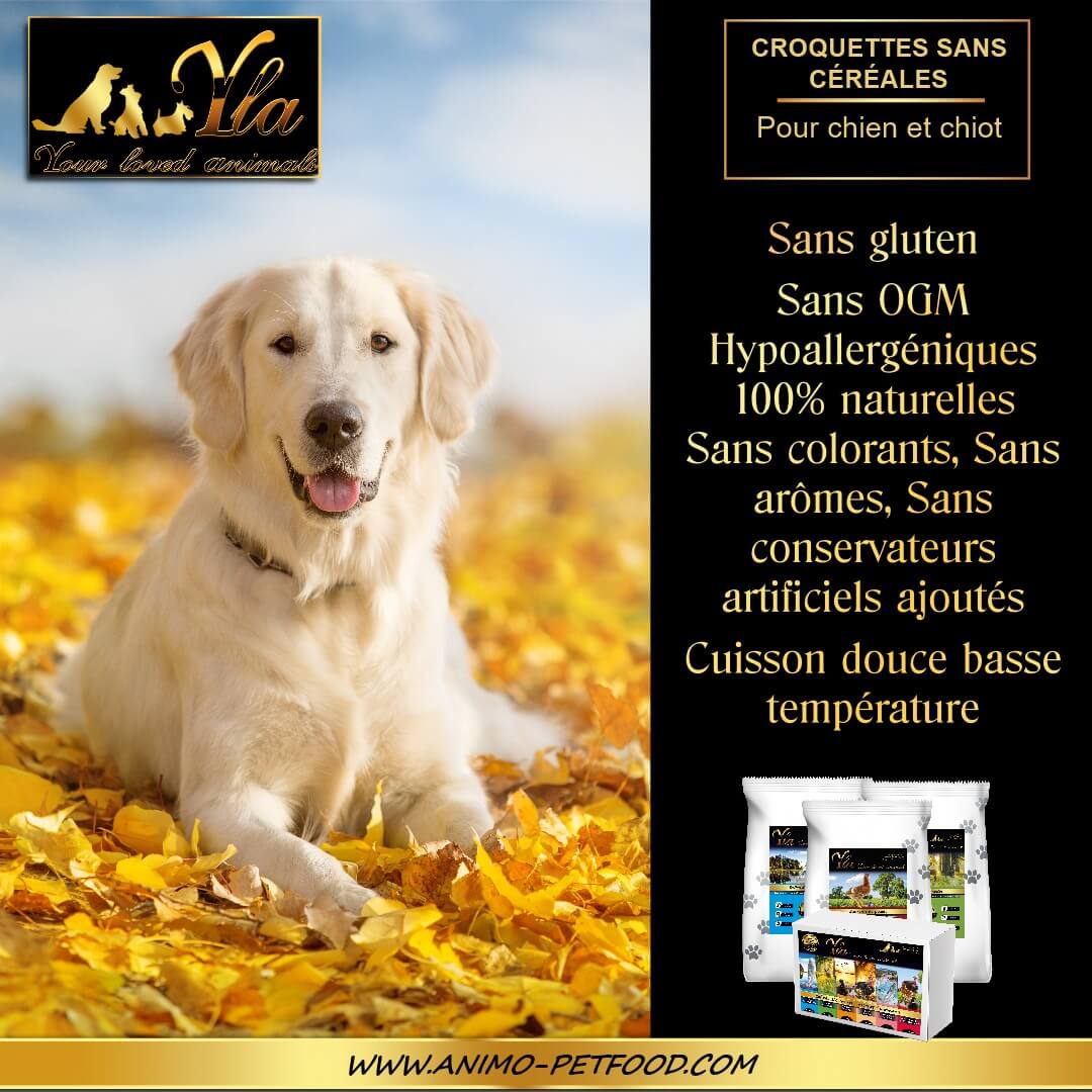 croquettes-naturelles-sans-cereales-pour-chien